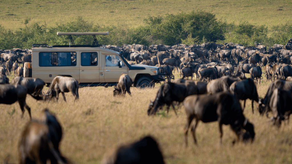 Maasai Mara Game Reserve Flying Packages