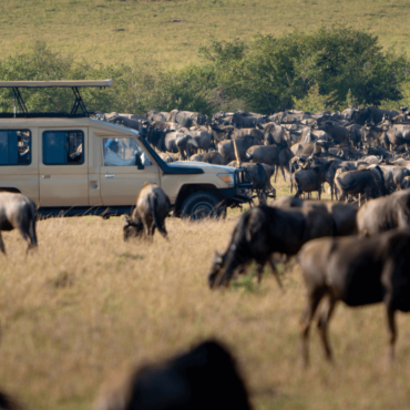 Maasai Mara Game Reserve Flying Packages