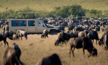 Maasai Mara Game Reserve Flying Packages