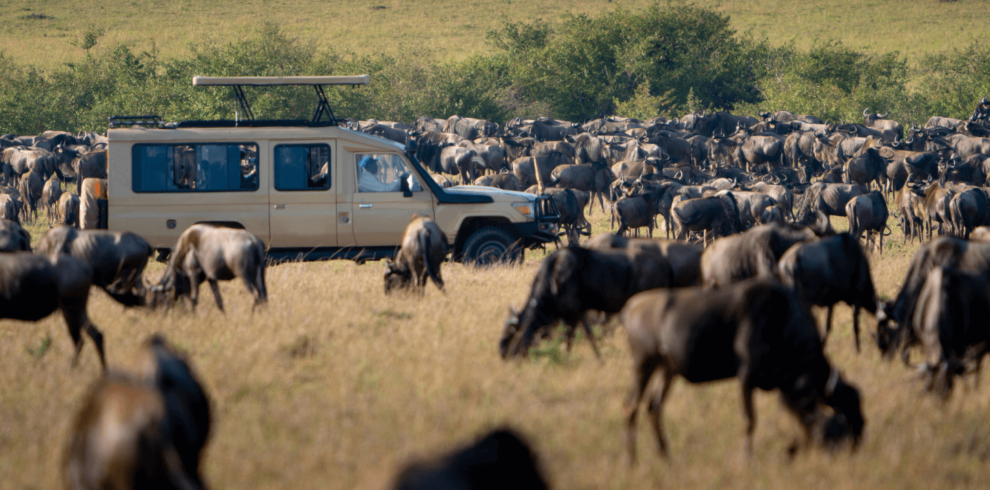 Maasai Mara Game Reserve Flying Packages