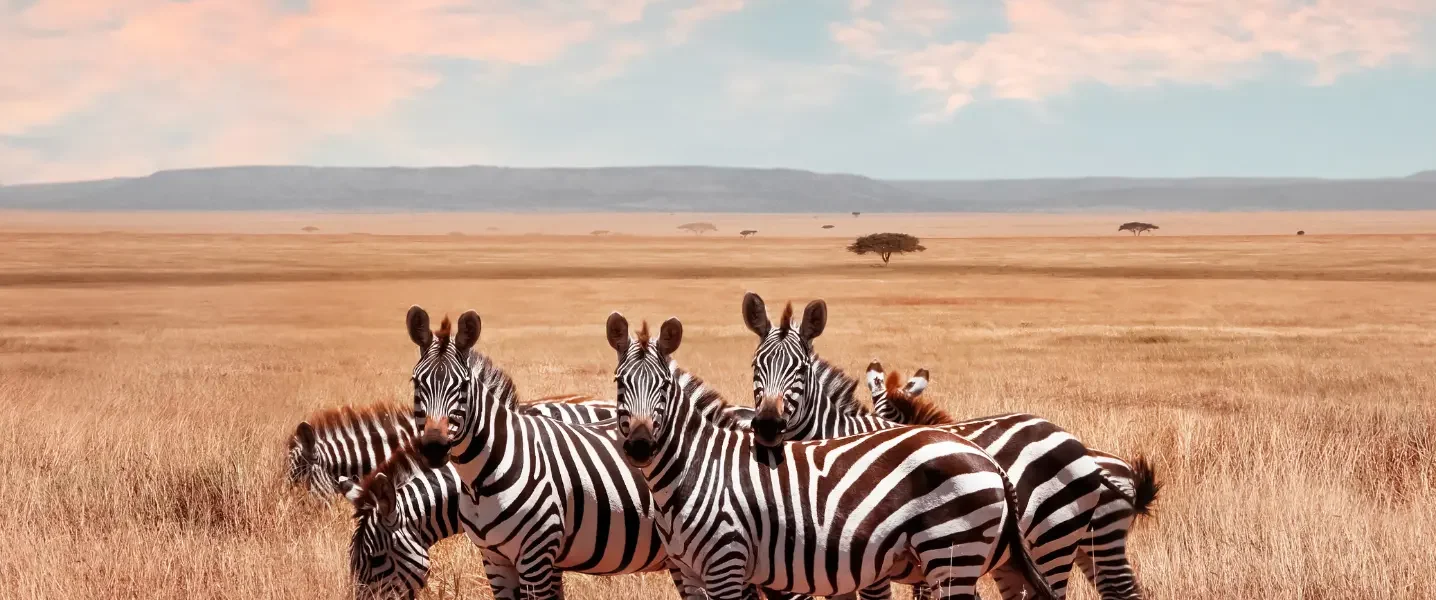 Kenya Enchanting Safari: 12-Day Wildlife Adventure in Kenya